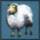 Wolle blau